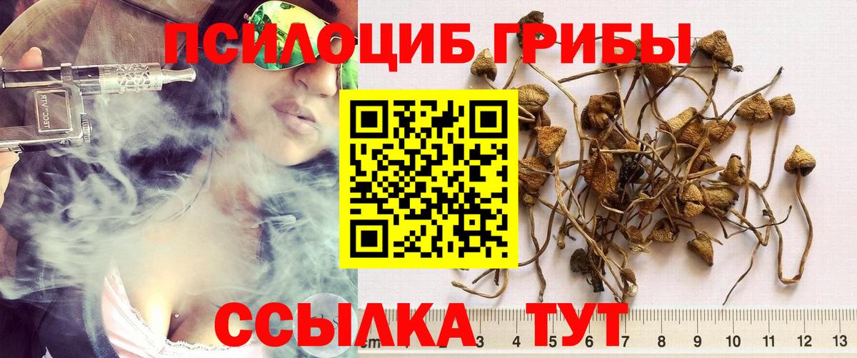 Новокуйбышевск  Псилоцибиновые грибы MAGIC MUSHROOMS  Вход с VPN 